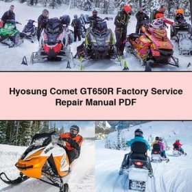 Hyosung Comet GT650R Factory Manual de servicio y reparación