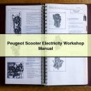 Peugeot Scooter Electricity Workshop Manual
