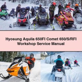 Hyosung Aquila 650FI Comet 650/S/RFI Workshop Manual de servicio y reparación