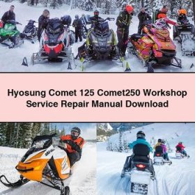 Hyosung Comet 125 Comet250 Workshop Manual de servicio y reparación