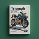 Triumph Speed Triple Daytona 02-08 Workshop Service Repair Manual